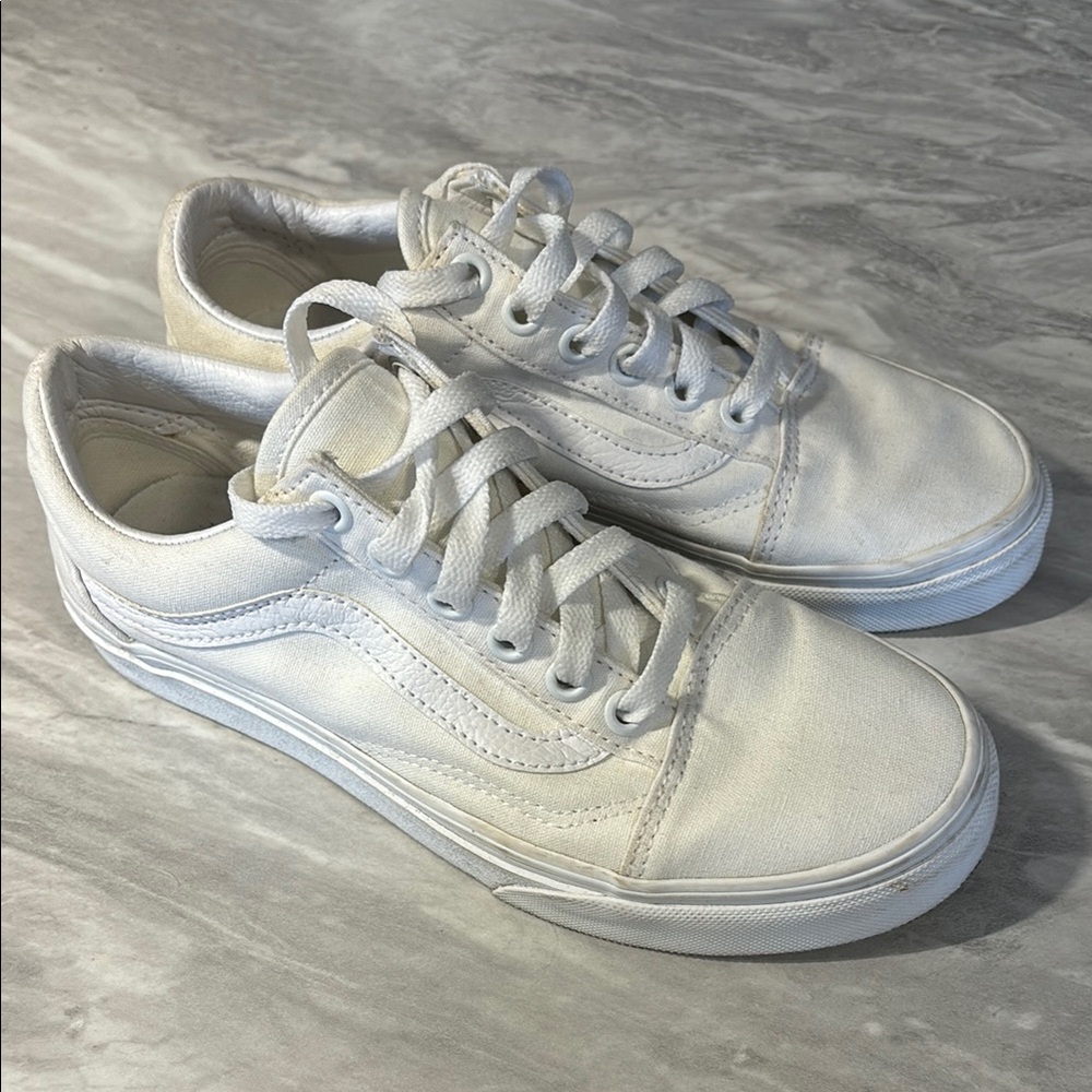 Vans Old Skool canvas shoe.